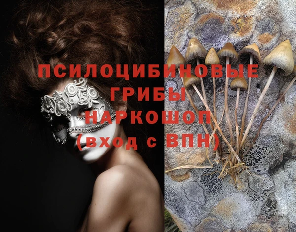 крисы Саяногорск